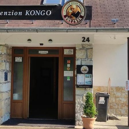 Penzion Kongo Telnice Екстер'єр фото