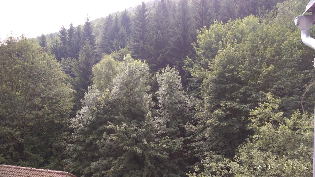 Penzion Kongo Telnice Екстер'єр фото